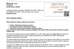 IW-00294-eng-WISEN-2020