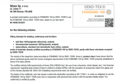 IW-00294-eng-WISEN-2021